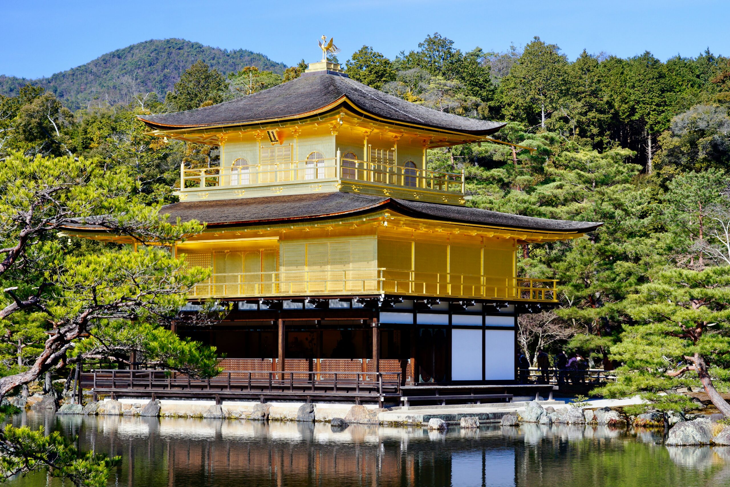 brown and white wooden house near body of water during daytime